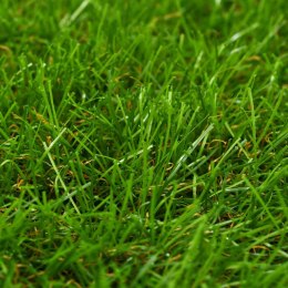 Sztuczny trawnik 1x2 m; 40 mm zielony