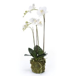 Emerald Sztuczny storczyk falenopsis 70 cm biały