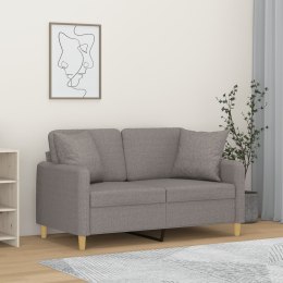  2-osobowa sofa z poduszkami, jasnoszara, 120 cm, tkanina