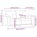  2-osobowa sofa z poduszkami, ciemnoszara, 120 cm, mikrofibra