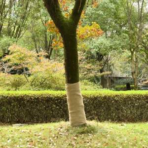 [3206542] Tkanina jutowa, 2 rolki, 1x50 m, 100% juta, 200 g/m²