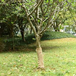 [155796] Tkanina jutowa w rolce, 0,5x10 m, 100% juta, 200 g/m²