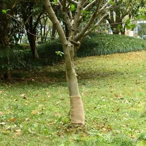 [155794] Tkanina jutowa w rolce, 0,25x100 m, 100% juta, 200 g/m²
