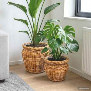 [42020960] Kosz na rośliny GENDT 2 szt. Naturalny Brąz Rattan Kubu